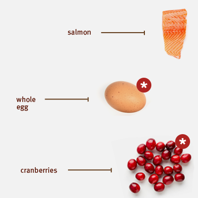 Sojos Wild Dog Food Salmon Recipe Sojos